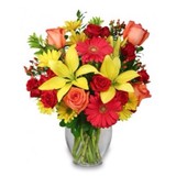 Amy's Florist - Florists in McAllen