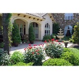 Lawn Firm - Landscaping in Colleyville