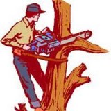Hartin Tree Service - Tree Services in Weatherford
