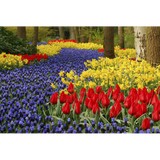 Weems Tree & Landscape Service - Landscape Architects in Tyler