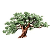 Oak Street Marketing - Web Design & Development in Arlington