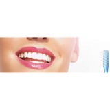 Douglas F  Engle DDS - Dentists in Arlington