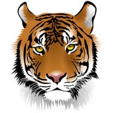 Tiger Gas - Other in Porter