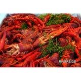 Riverside Inn Marina - Other in Channelview