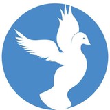 Genesis Logistics Inc - Software Development in Tyler