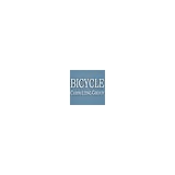 Bicycle Consulting Group (BCG) - Business Consulting in Katy