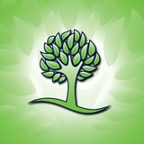 Lawn Connections, LLC - Lawn Services in Haslet