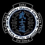 Bushido Martial Arts Academy - Martial Arts in Arlington