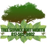 Tree Service Fort Worth - Tree Services in Fort Worth