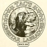 Tac's Lonestar Labradors - Other in Carthage