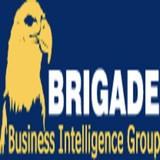 Brigade Business Intelligence Group - Marketing in Fort Worth