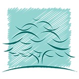 Southern Oaks Dental Clinic In - Dentists in Beaumont