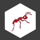 Red Ant Digital Marketing - Marketing in McAllen