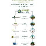 Bird Forestry Service - Other in Center