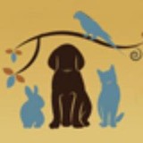 Mabe Jennifer DVM - Veterinarians/Vets in Webster