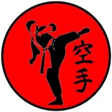Busho Kai USA Martial Arts & Fitness - Martial Arts in Arlington