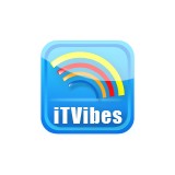 I T Vibes Inc - Web Design & Development in Spring