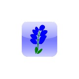 Bluebonnet Pest Control - Pest Control in Arlington