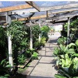 Turner's Floral Shop - Florists in Corpus Christi