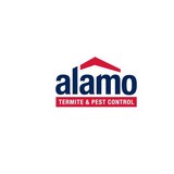 Alamo Termite & Pest Control - Pest Control in Fort Worth