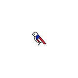 National Cage Bird Show And Exhibit Inc - Other in Springtown