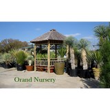 Orand Nursery - Concrete Products & Services in Fort Worth