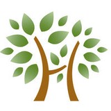 Bareikiene Violeta MD - Doctors in Greenville