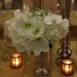 Enchanted Florist - Florists in Fort Worth
