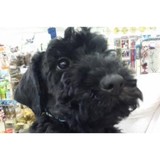 Charles Terry Construction - Roofing in Midland