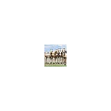 Legacy Arabians - Other in Terrell