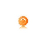 Magnetiks Search Marketing, LLC - Web Design & Development in Spring