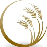 Katy Bible Church - Religious Organizations in Katy