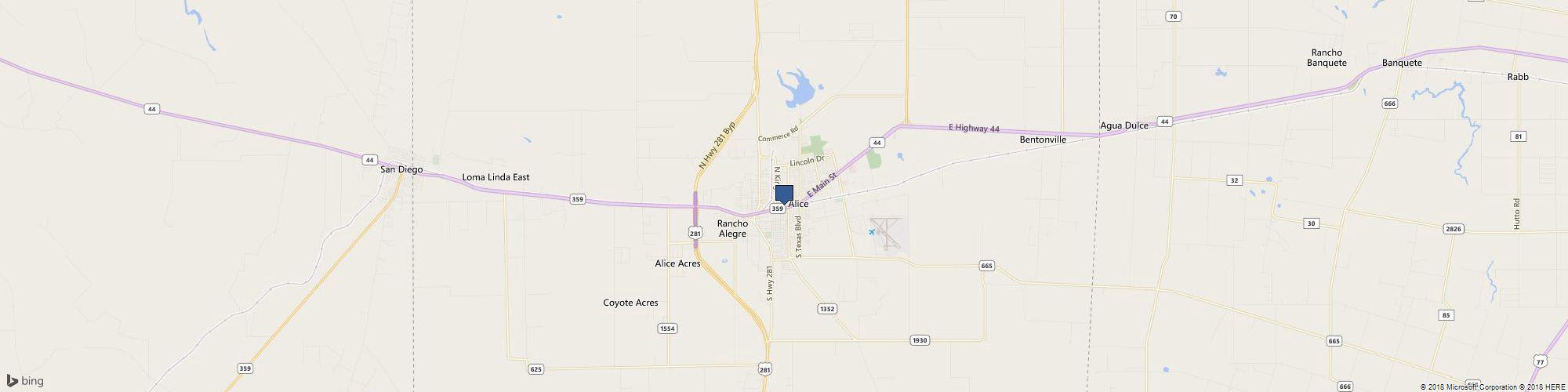 Alice City Manager cover photo