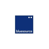 Bluesource Inc - Business Consulting in Grapevine