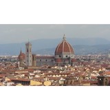 Novus Travel Ltd - Travel Agents in Arlington