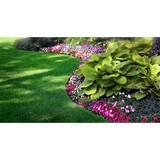 Lawn Raiders - Lawn Services in Lubbock