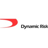 Dynamic Risk USA Inc - Insurance in Spring