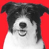 Bosworth CO Plbg Htg & Ac Inc - Plumbing in Midland