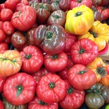 Bedford Farmers Market - Food & Related Products in Bedford