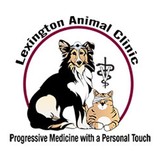 Lexington Animal Clinic - Veterinarians/Vets in Lexington