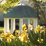 Greenbrier Golf Club - Other in Moody
