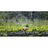 G Maya Tree Service & Landscaping - Tree Services in Waco