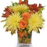 Iva's Flower Shop Inc - Florists in Arlington