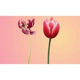 English & Gardner - Health & Medical Insurance in Fort Worth