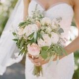 The Bee Elegant - Other in Boerne