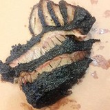 Brisket House - Other in Deer Park