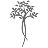 Insurance Benefits Team - Business Consulting in Fort Worth