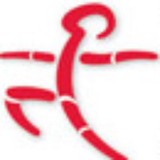 Letourneau Prosthetics - Other in Nederland