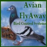 Flyaway Avian Averting System - Pest Control in Rockwall