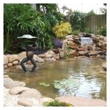 Peterson's Landscape & Maintenance - Landscaping in Haltom City